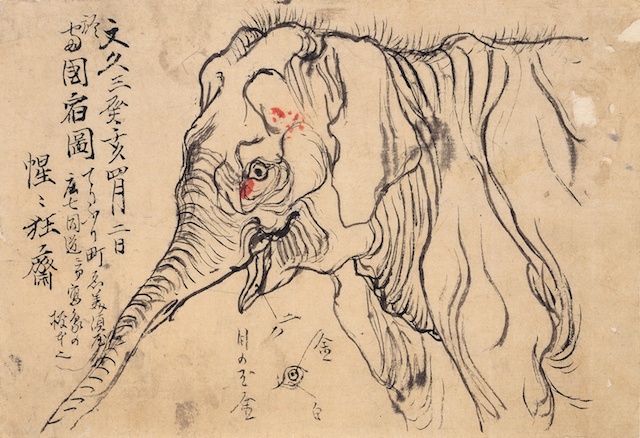 《象 写生》1863年 河鍋暁斎記念美術館