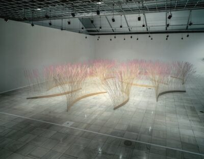 京都国立近代美術館 開館60周年記念「小林正和とその時代―ファイバーアート、その向こうへ」展